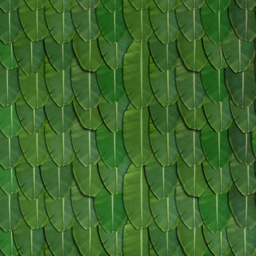 Botanical Pattern