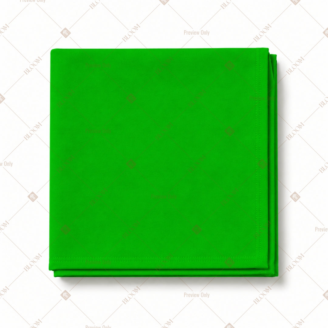 Light Green Napkin Pack of 20