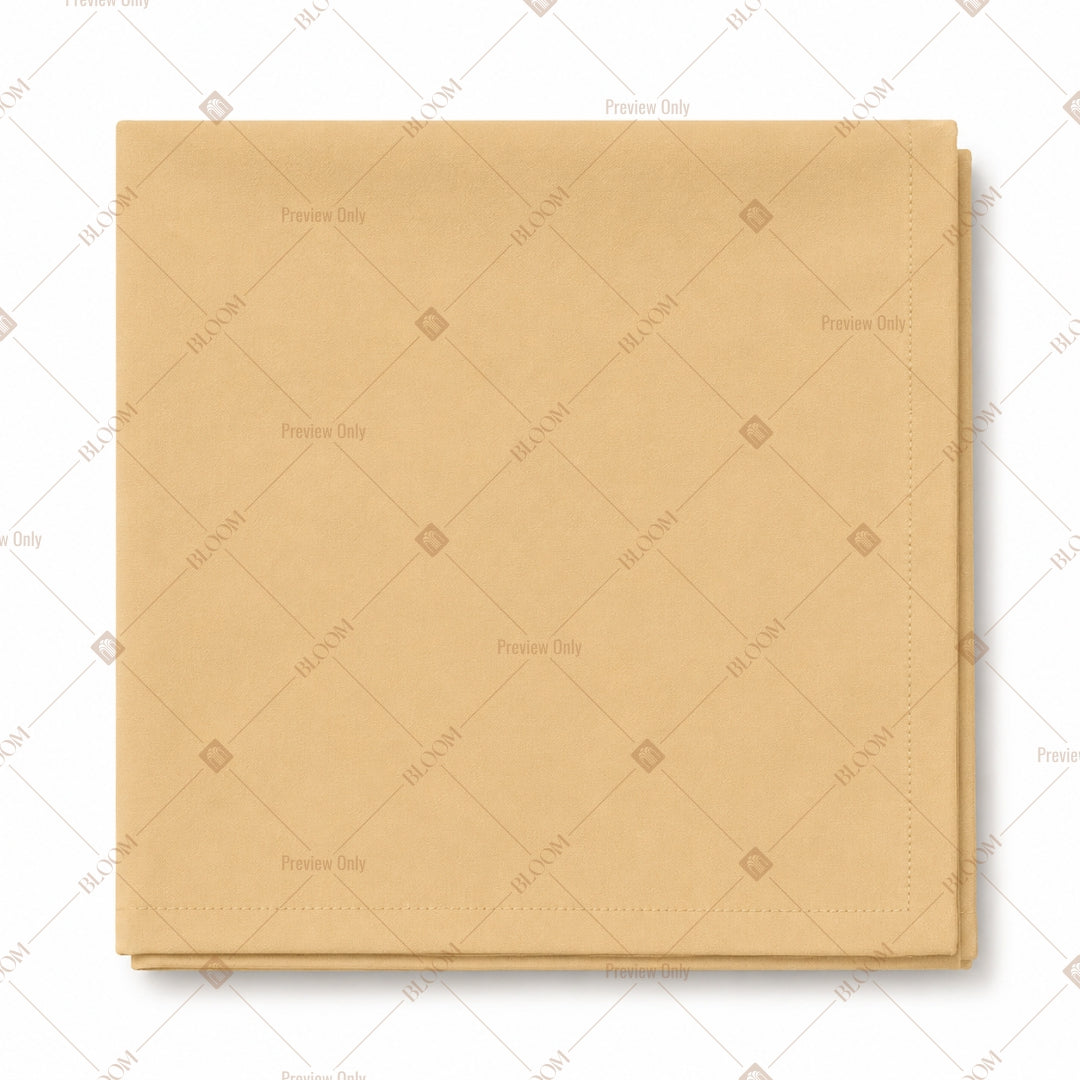 Pale Jute Napkin Pack of 20