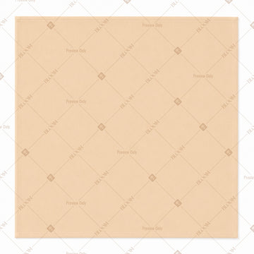 Champagne Napkin Pack of 20