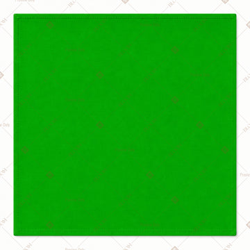 Light Green Napkin Pack of 20