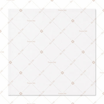 Off White Napkin Pack of 20