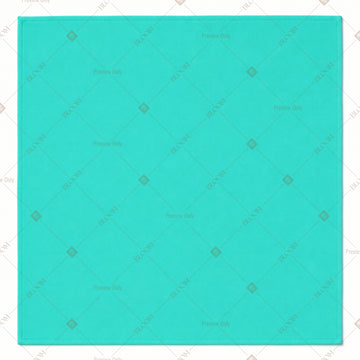 Turquoise Napkin Pack of 20