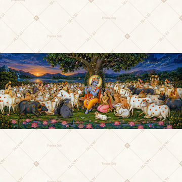 Peacock Palace Night Border Wide Backdrop