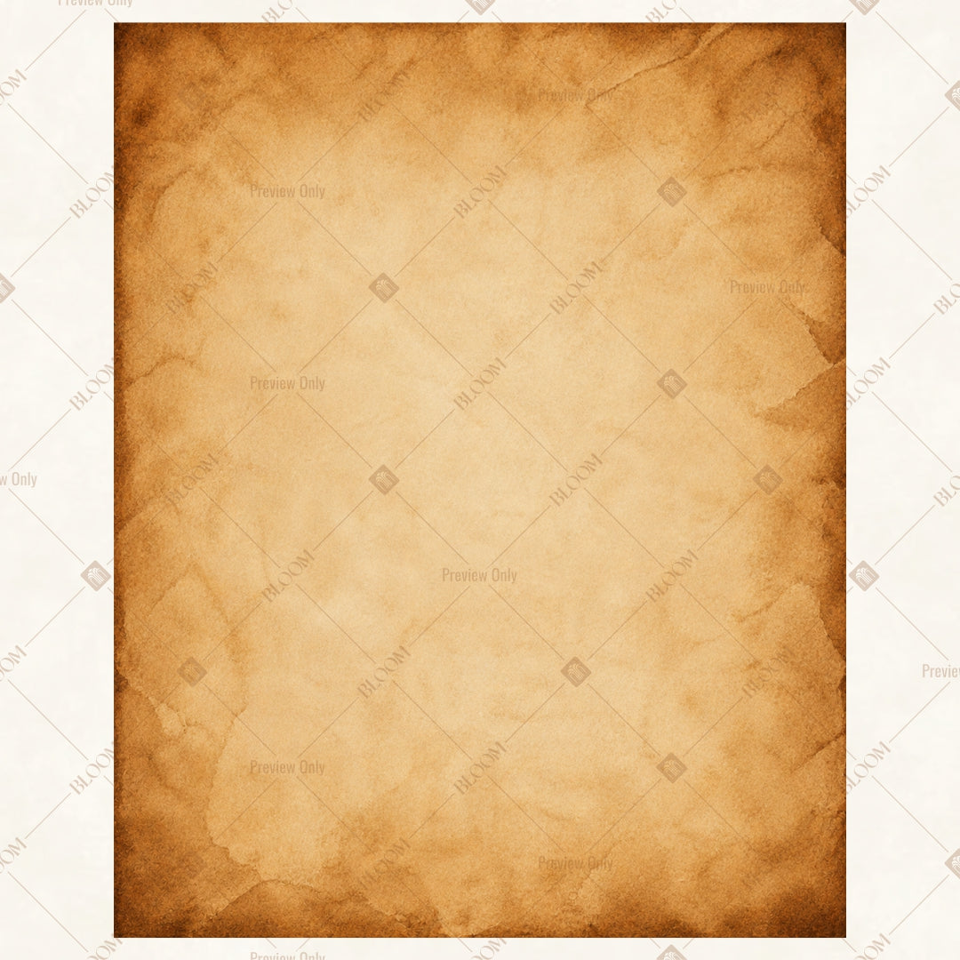 Vintage Parchment Texture Portrait Rectangle Backdrop